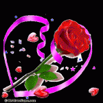 Hoa Tinh Yeu